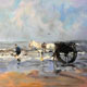 Shell fisherman - Janssen